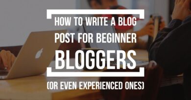 How To Write A Blog Post for Beginners (And Even Experienced Bloggers)