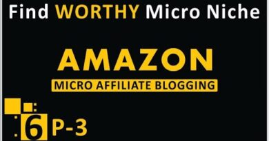 06 Amazon Micro Affiliate Blogging Course 2020 | Profitable Micro Niches Affiliate Mentor Online P3